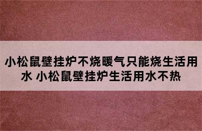 小松鼠壁挂炉不烧暖气只能烧生活用水 小松鼠壁挂炉生活用水不热